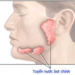Nước bọt và tác dụng trị liệu